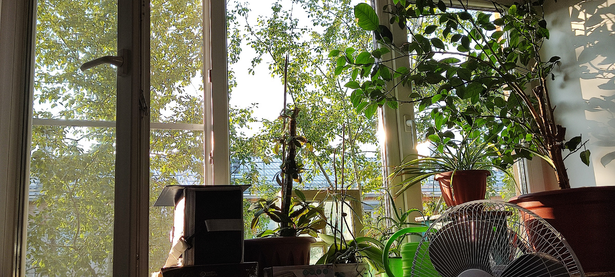 До вчерашнего дня у меня в комнате не было занавесок, и каждое утро, открыв глаза, мы видели это))