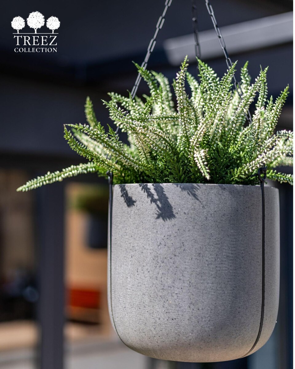 Кашпо и растения TREEZ Collection
