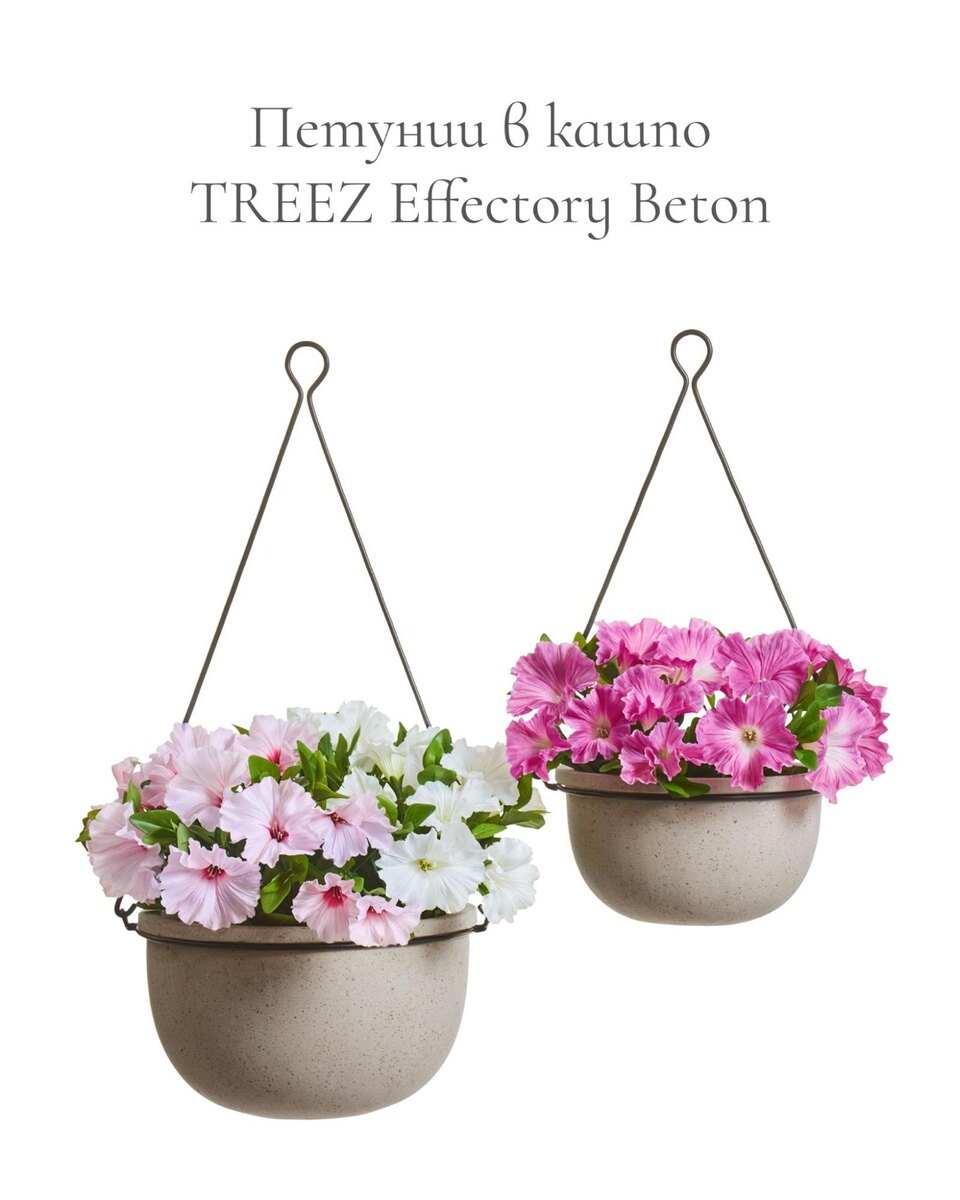 Кашпо и растения TREEZ Collection