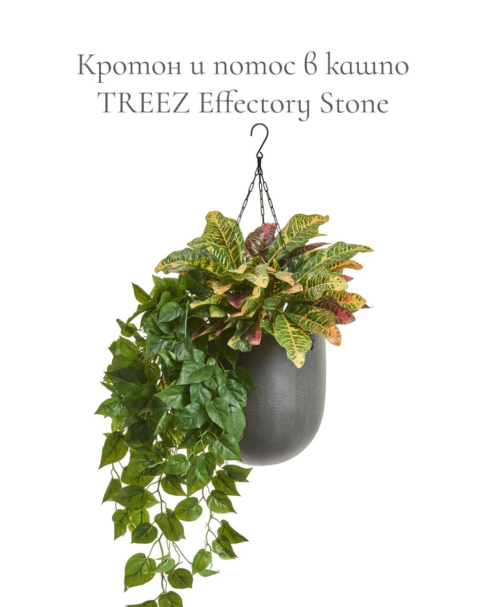 Кашпо и растения TREEZ Collection