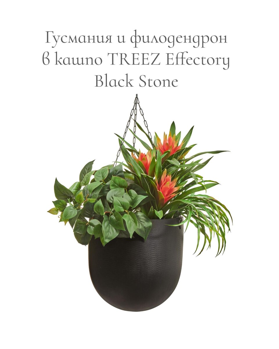 Кашпо и растения TREEZ Collection