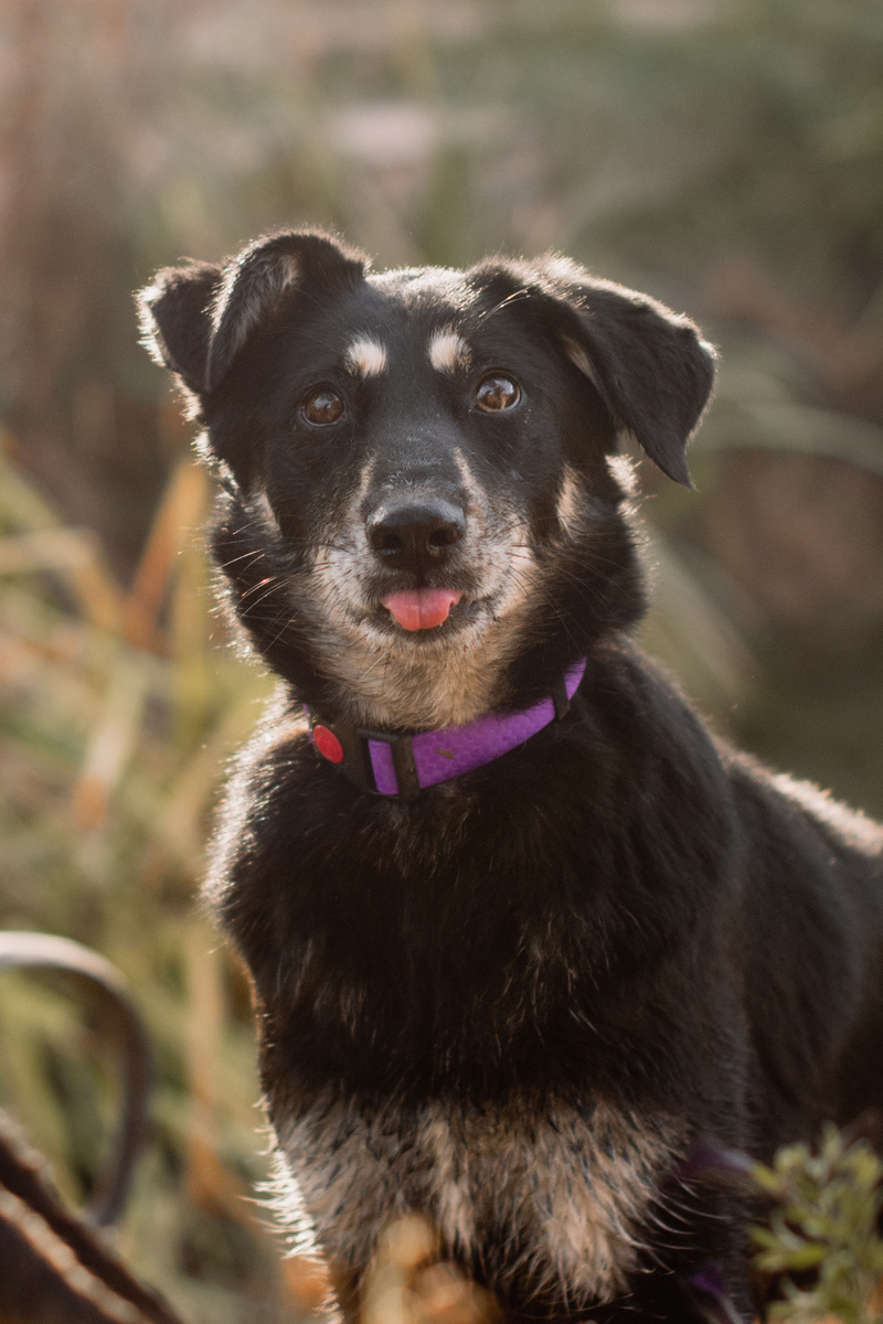 Видели, как я могу показывать язык?)