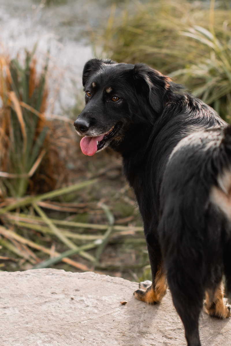 И у этой дамы язык хоть куда!