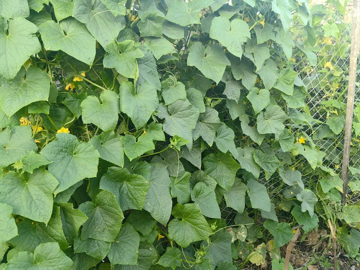 Фото Натальи Мироновой