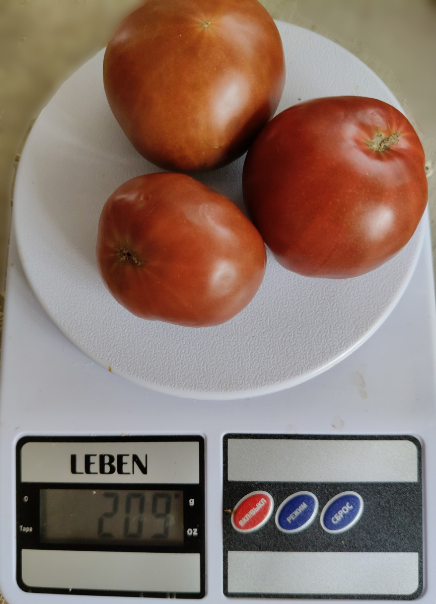 Я ж весы на дачу для наглядности привезла 😄