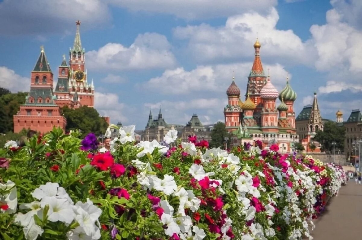    Сергунина: москвичи оценят программу «Лета в Москве» на окружных площадках