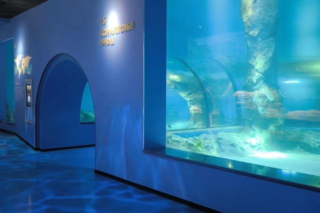   Фото: пресс-служба Музея Мирового океана