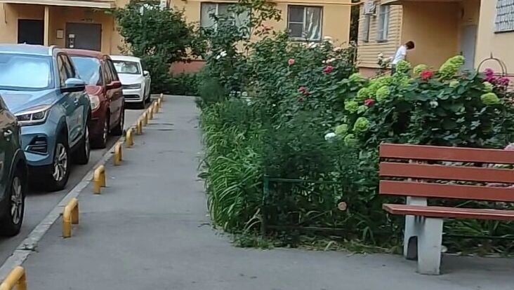     Источник: rostovgazeta.ru