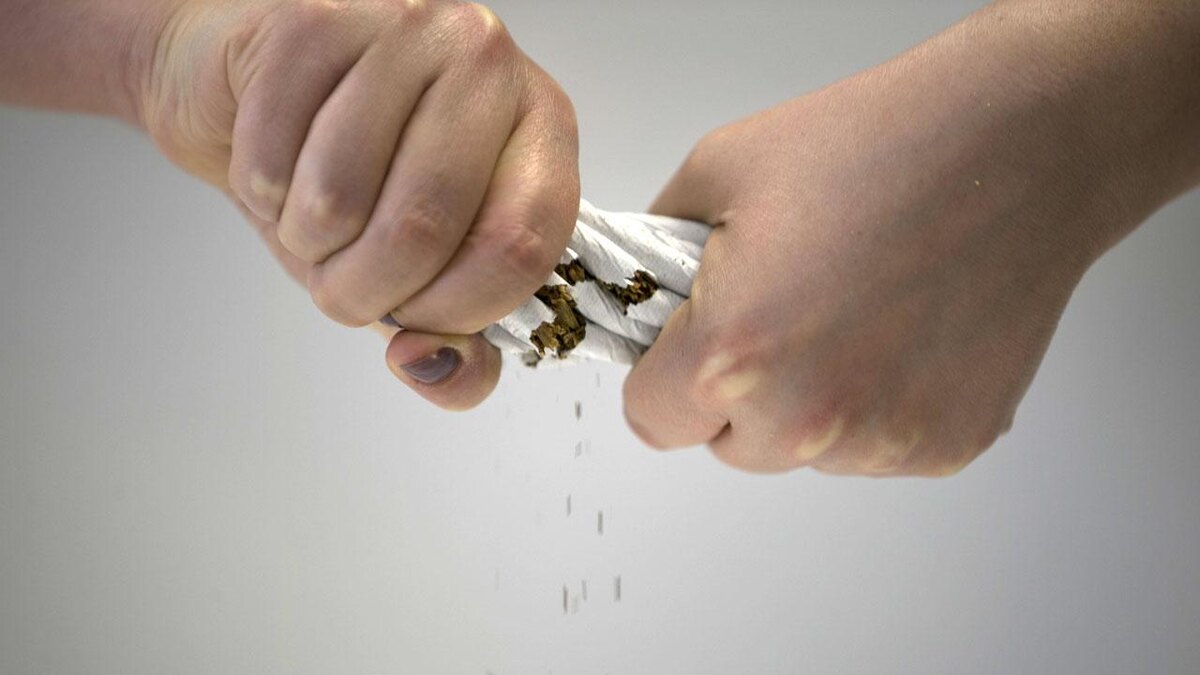 Рисунок из Интернета. 