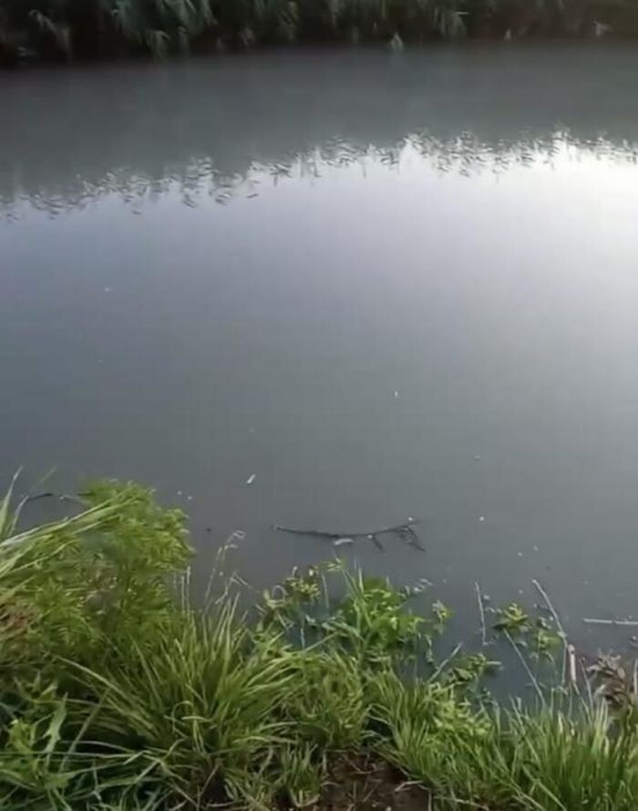 Источник фото: Соцсети