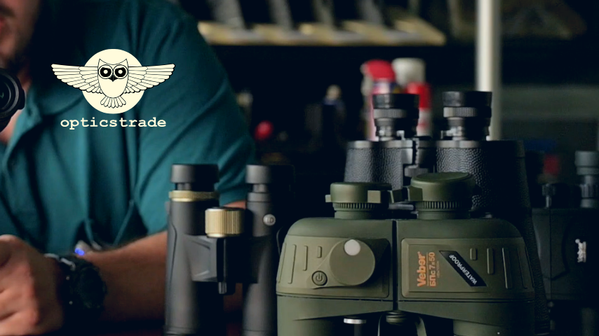 Рассматриваемые модели биноклей