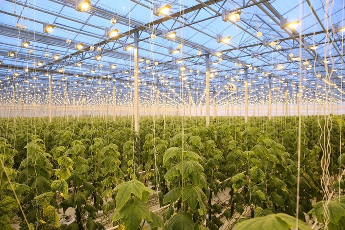 Тепличный комплекс "ТюменьАгро", Тюменская область