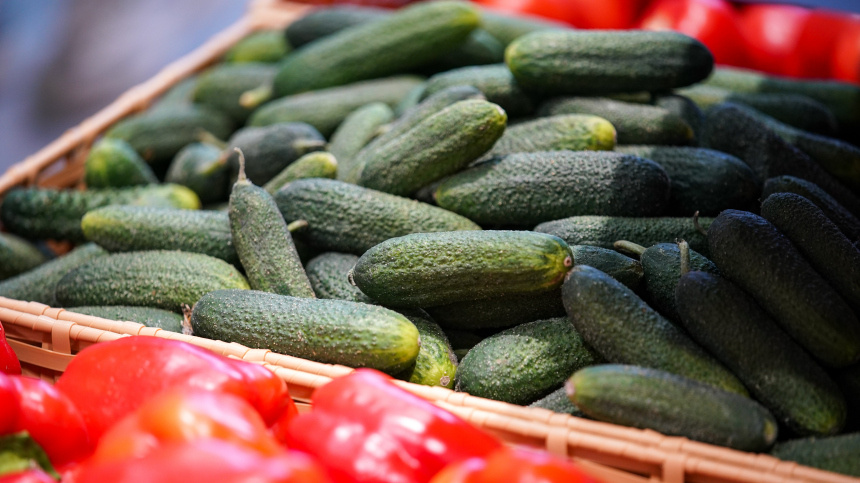    Фото: ИЗВЕСТИЯ/Сергей Лантюхов