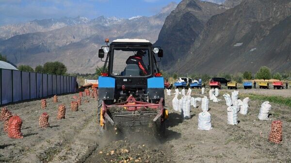    © Foto / Пресс-служба президента Таджикистана