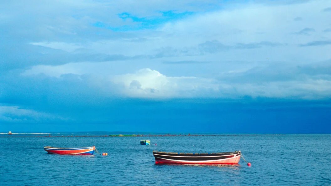    фото: ©NikolayVoskresenskii/Globallookpress.сom