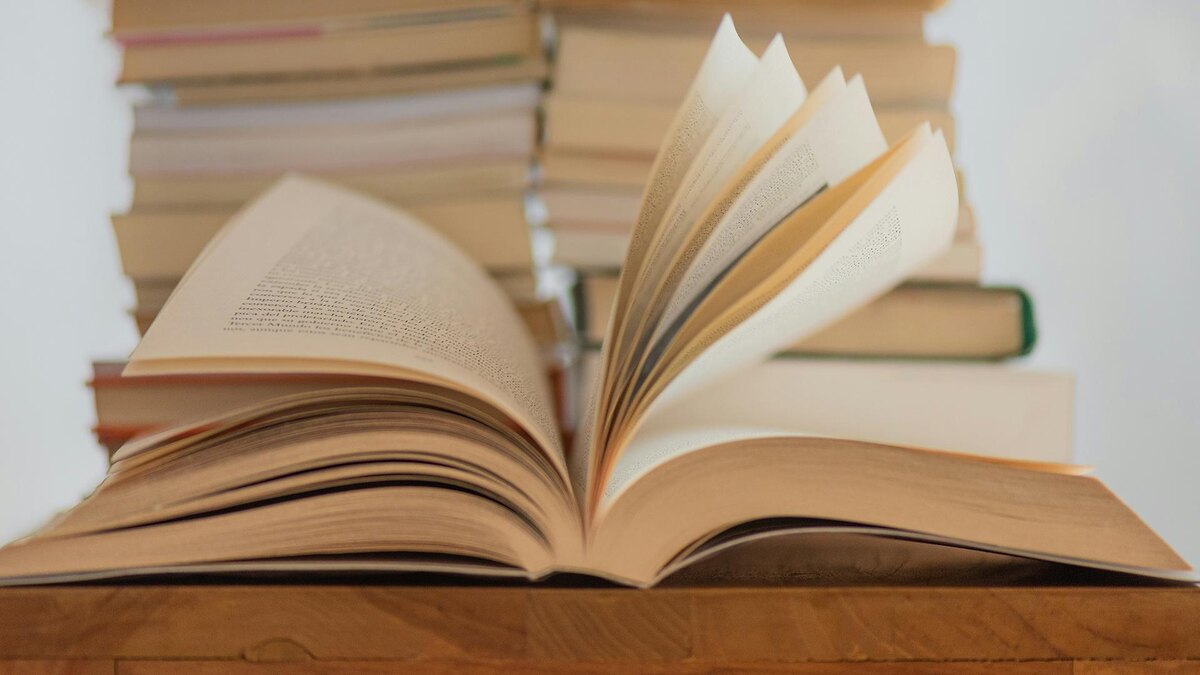    Фото: unsplash.com