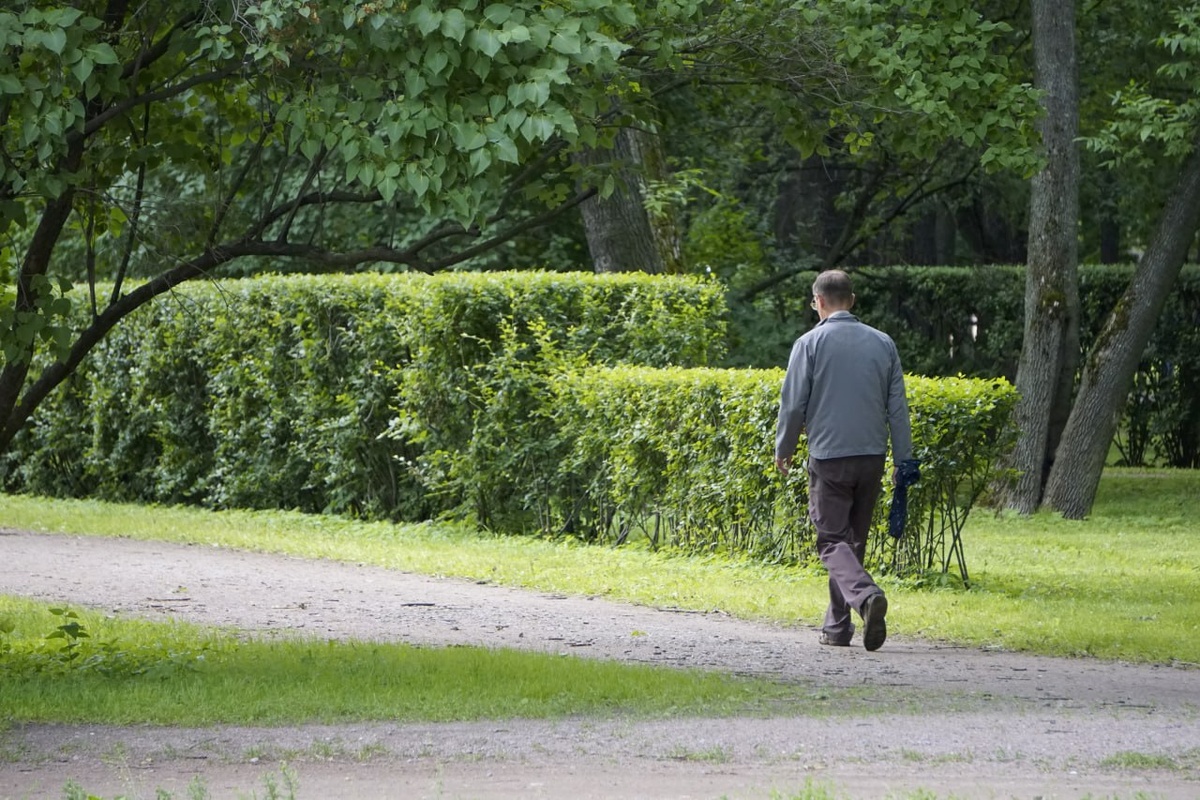 Фото: архив МК в Питере