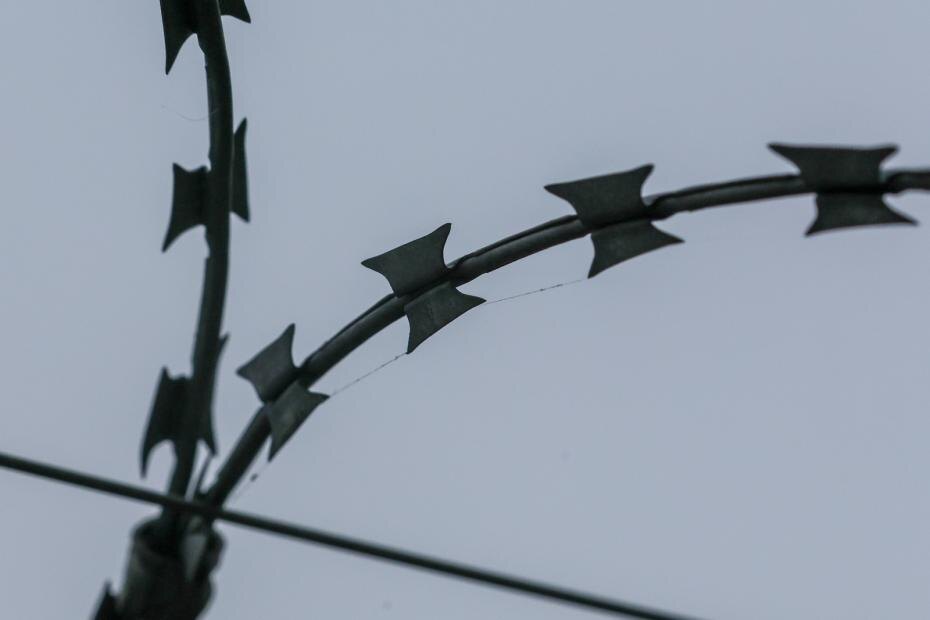    Алексей Белкин/NEWS.ru