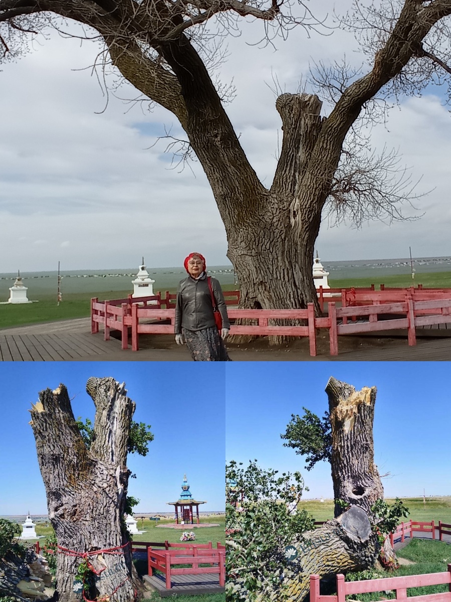 Было, стало... 