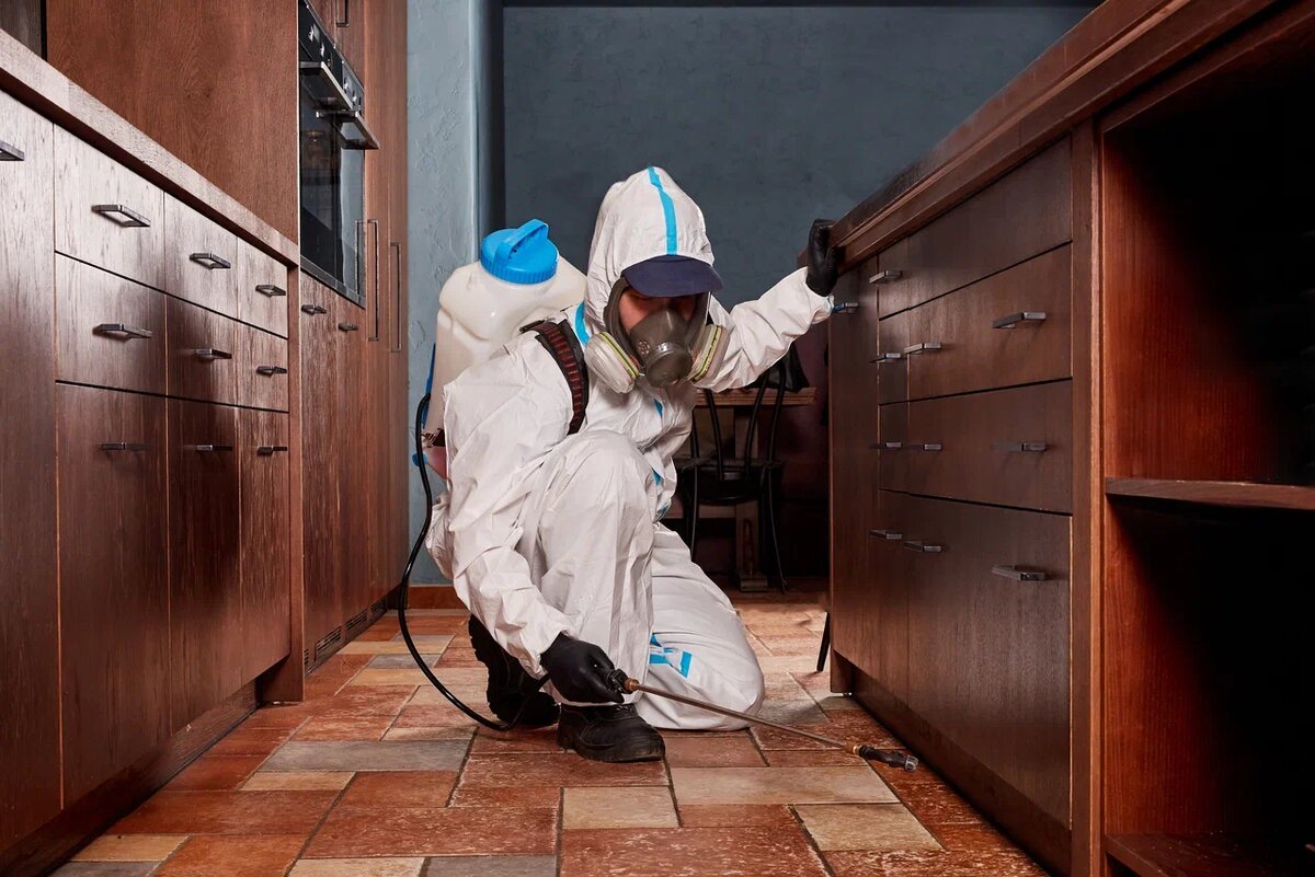 •УК организует профессиональную дезинсекцию, вызывая специалистов.
