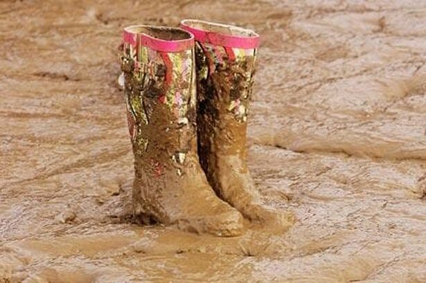 Из свободного доступа Yandex