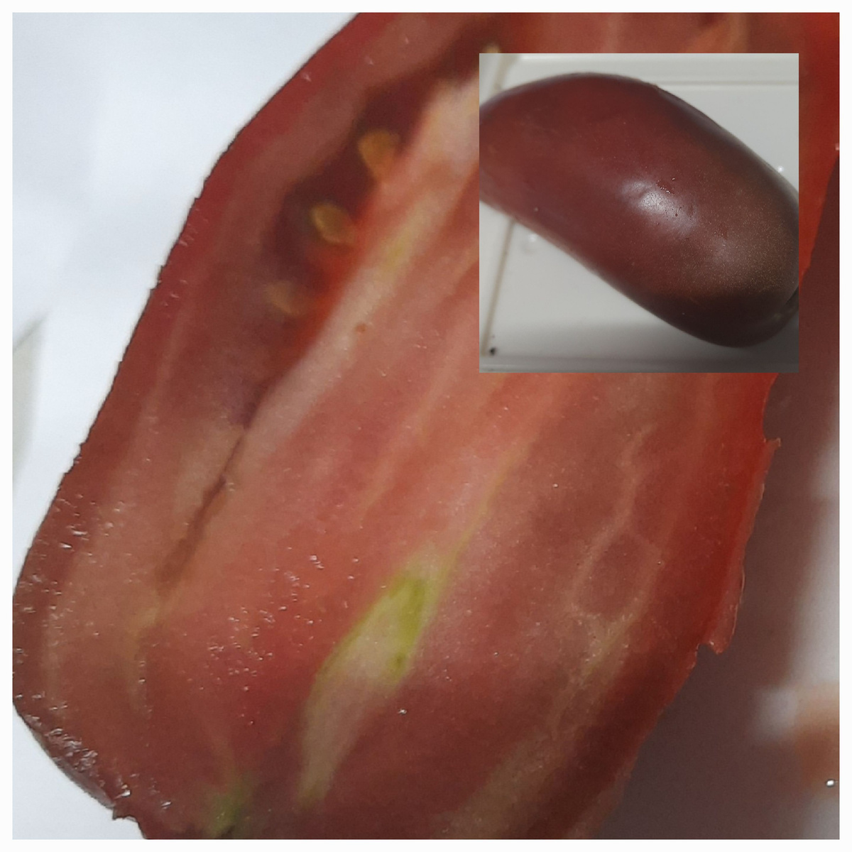 Пурпурный фламинго