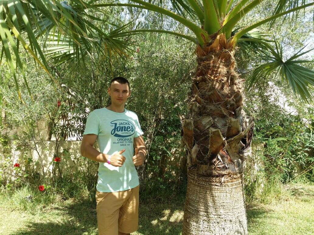 Под пальмой в Тунисе. 