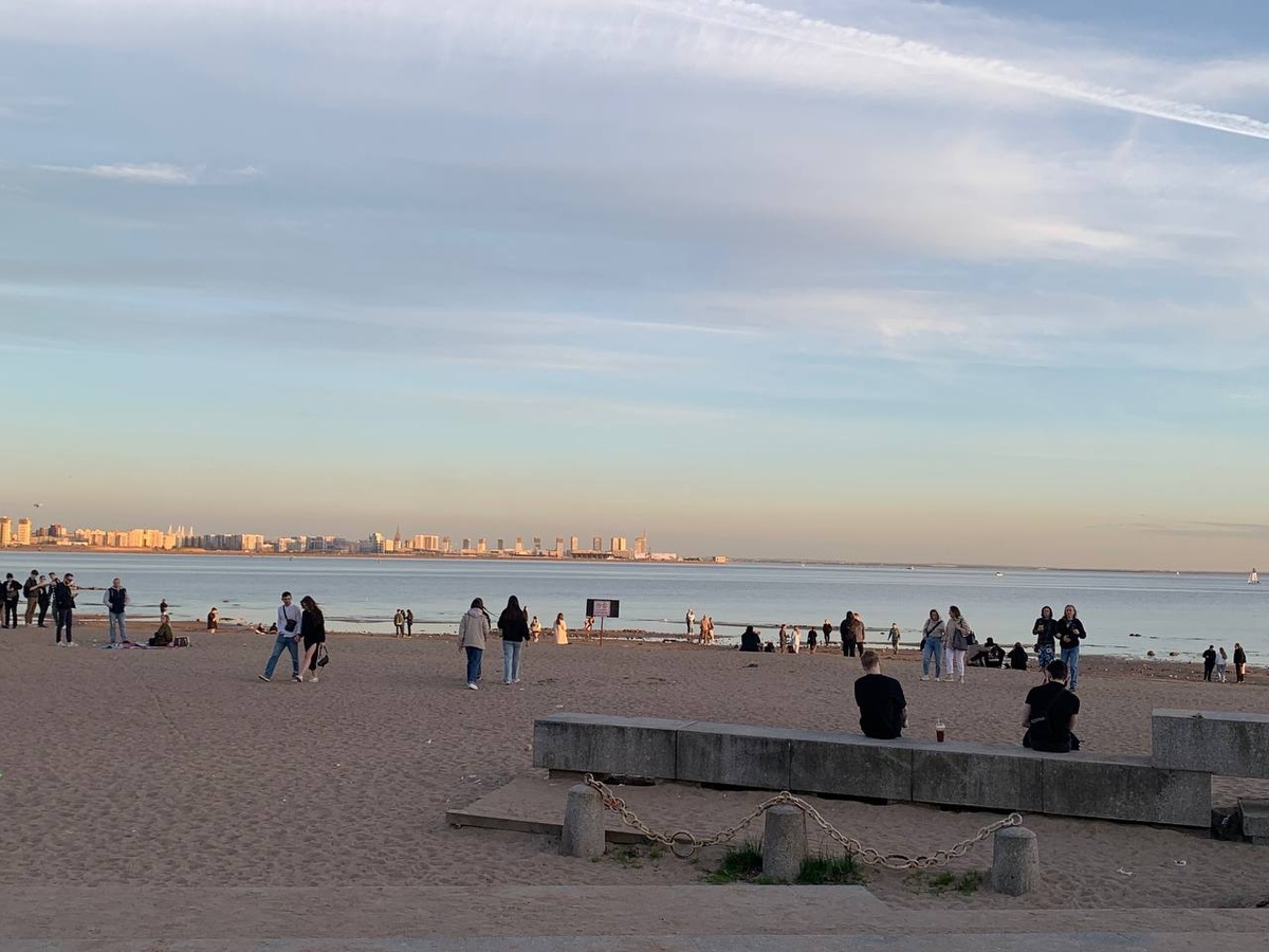 Фото: Neva.Today