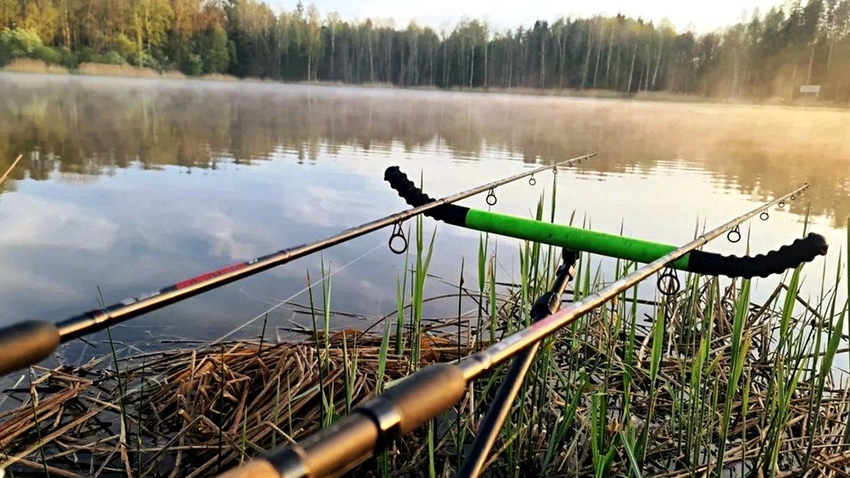 Как подобрать длину поводка на фидере