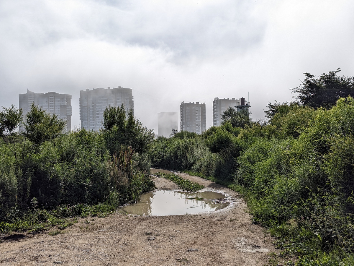 Июльский душный день. 
