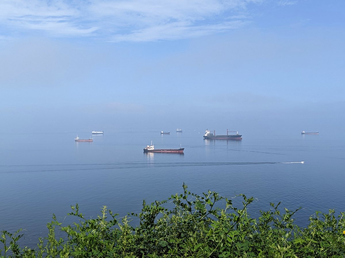 Жаркое солнце и одновременно туман — изнуряющая погода. 