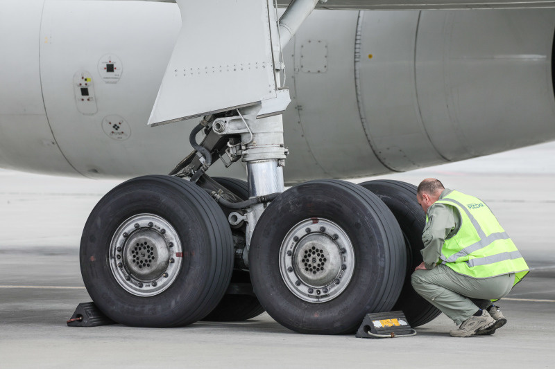    Фото: Roman Naumov/URA.RU/Global Look Press