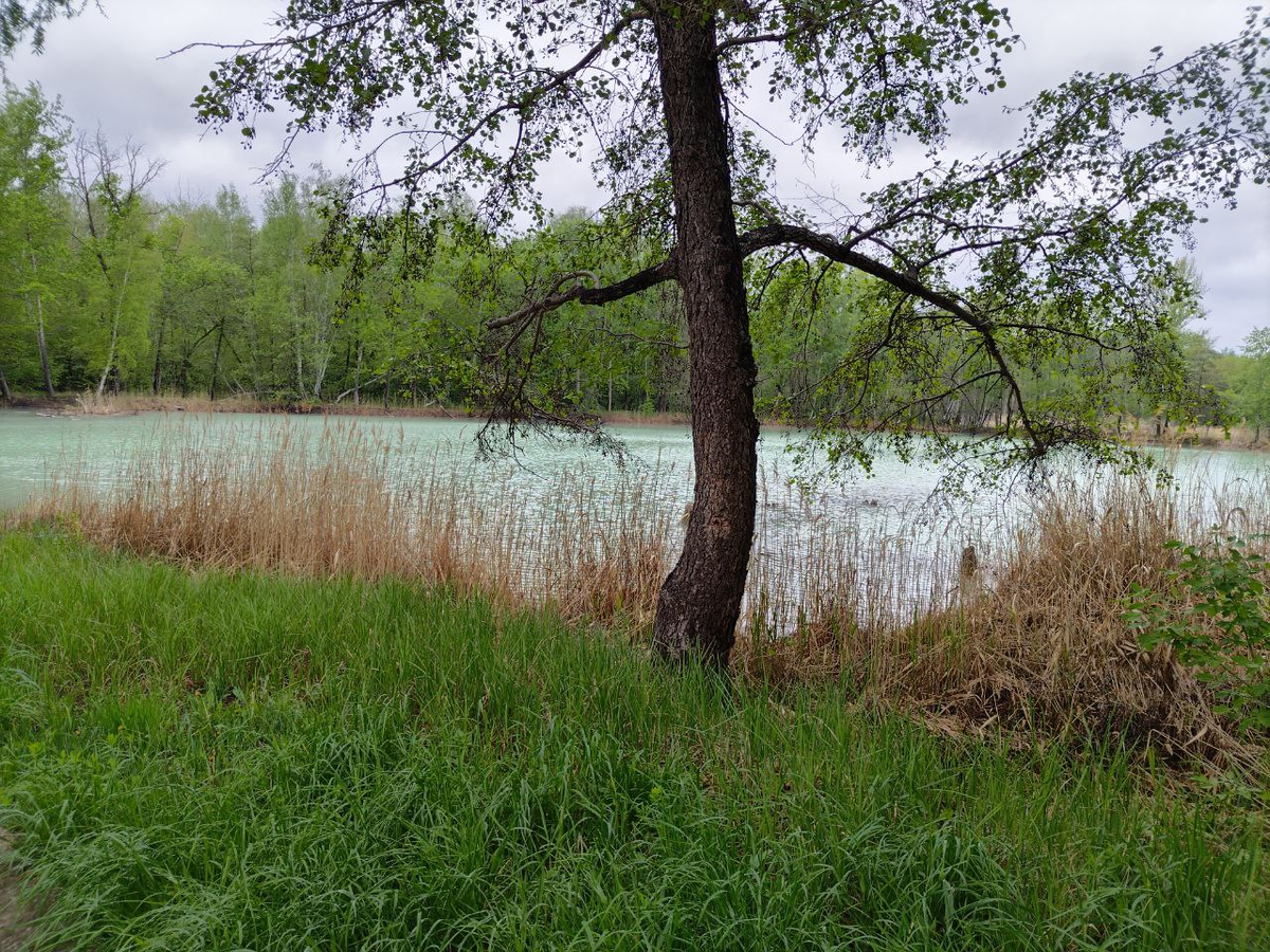 Фото автора.