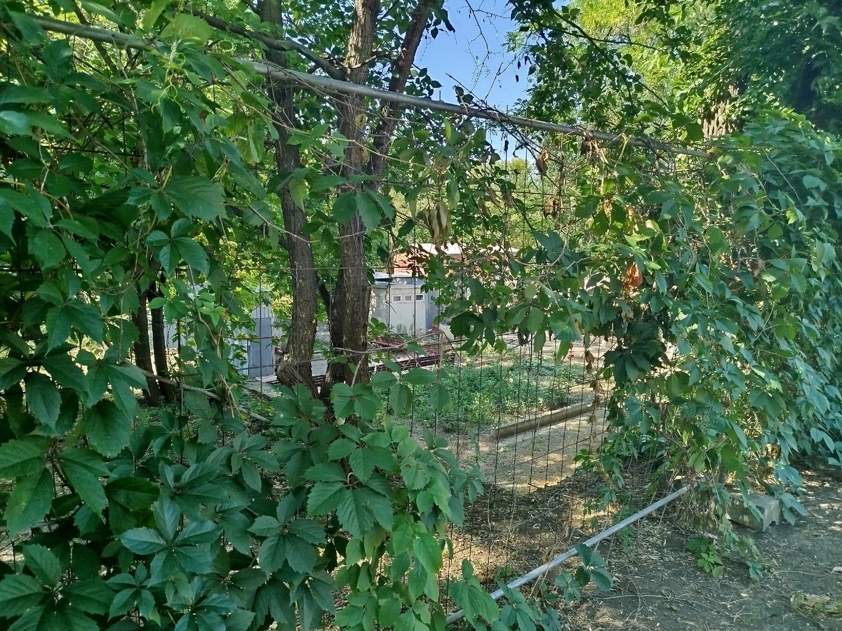 В Зеленстрое возле устья Калиновой балки  (между Парком Победы и Набережной Кальмиуса) есть вольеры с фазанами, павлинами и породистыми курами.