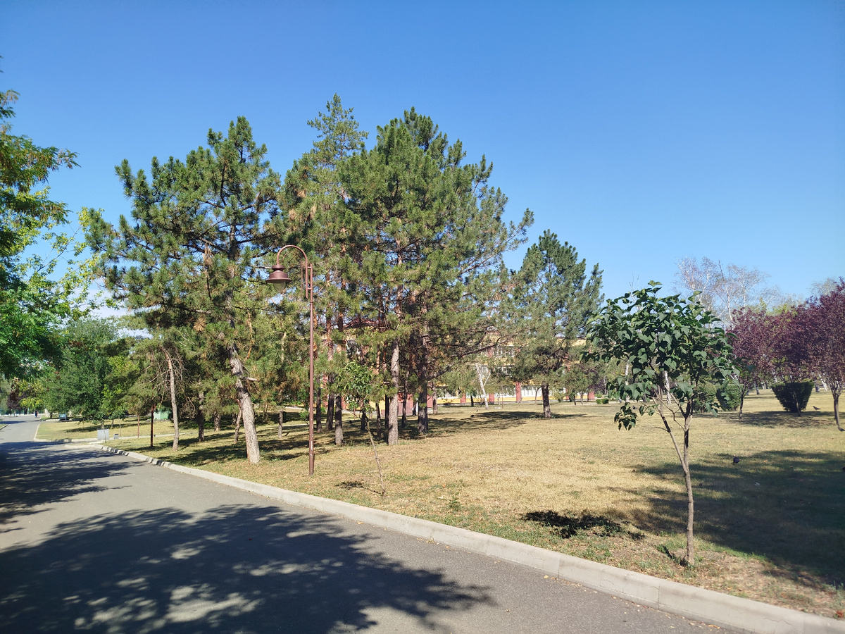 Между Зеленстроем и Парком Победы.