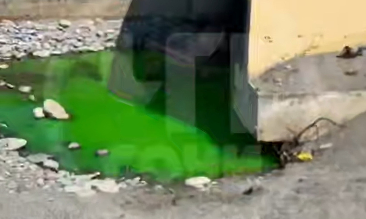    Фото t.me/chp_sochi