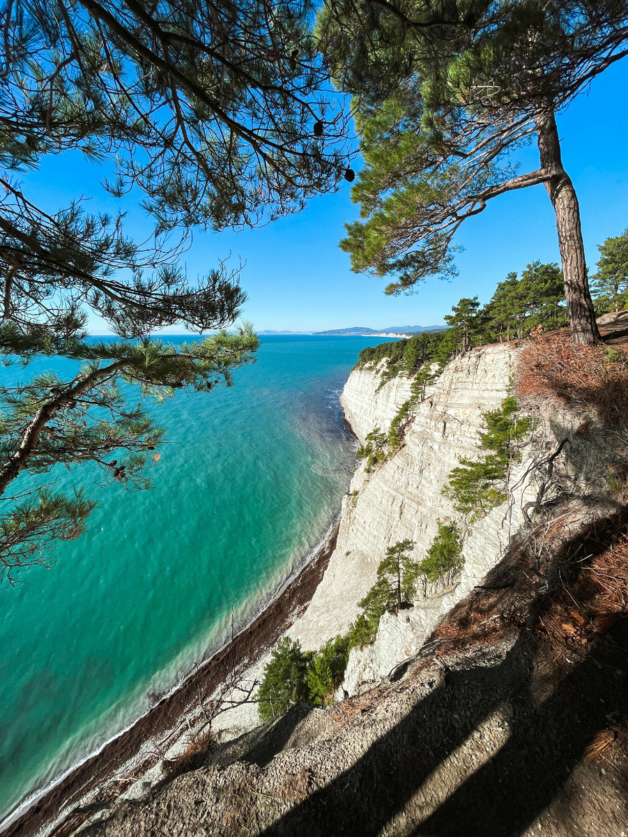 Фотограф: Lera Mk: https://www.pexels.com/ru-ru/photo/34460103/