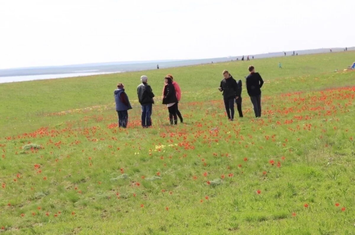    На выделенном многодетной семье земельном участке нет коммуникаций.