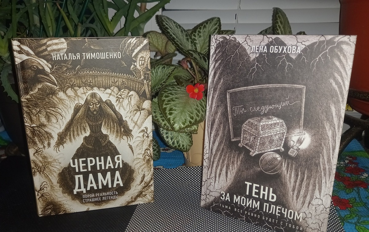 В бумаге у меня две книги, остальное слушаю в аудиформате