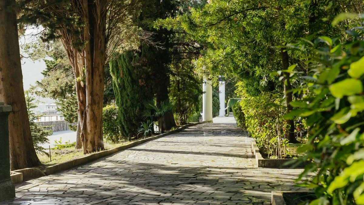 Фото дендропарка в отеле «Амра Парк» в Гагре