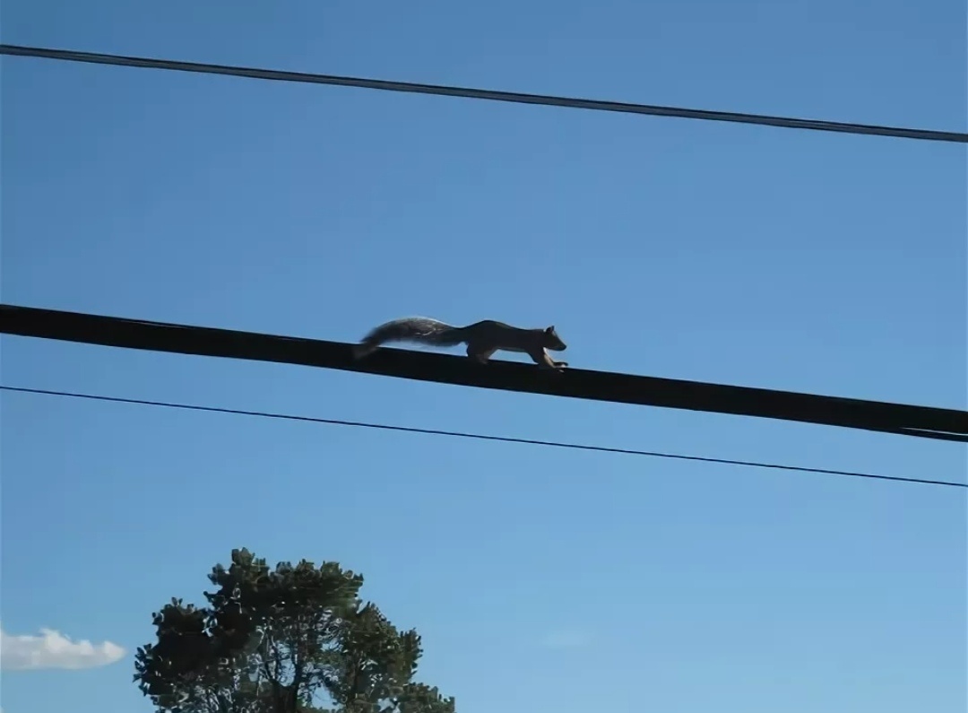 Примерно вот так же, как на фото взятого из открытых источников.