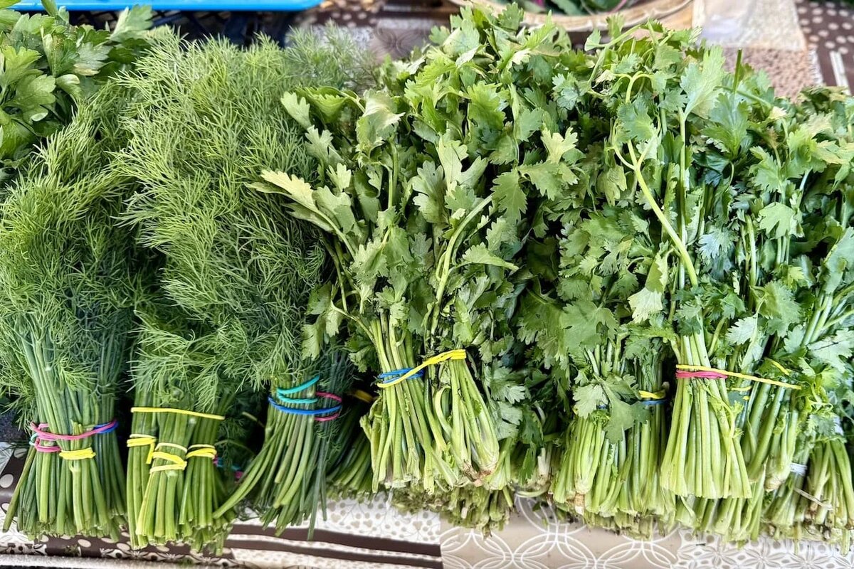 Фото: UfacityNews.ru