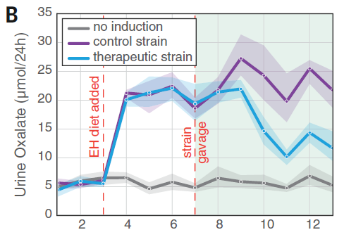  Whitaker et. al / Science, 2025