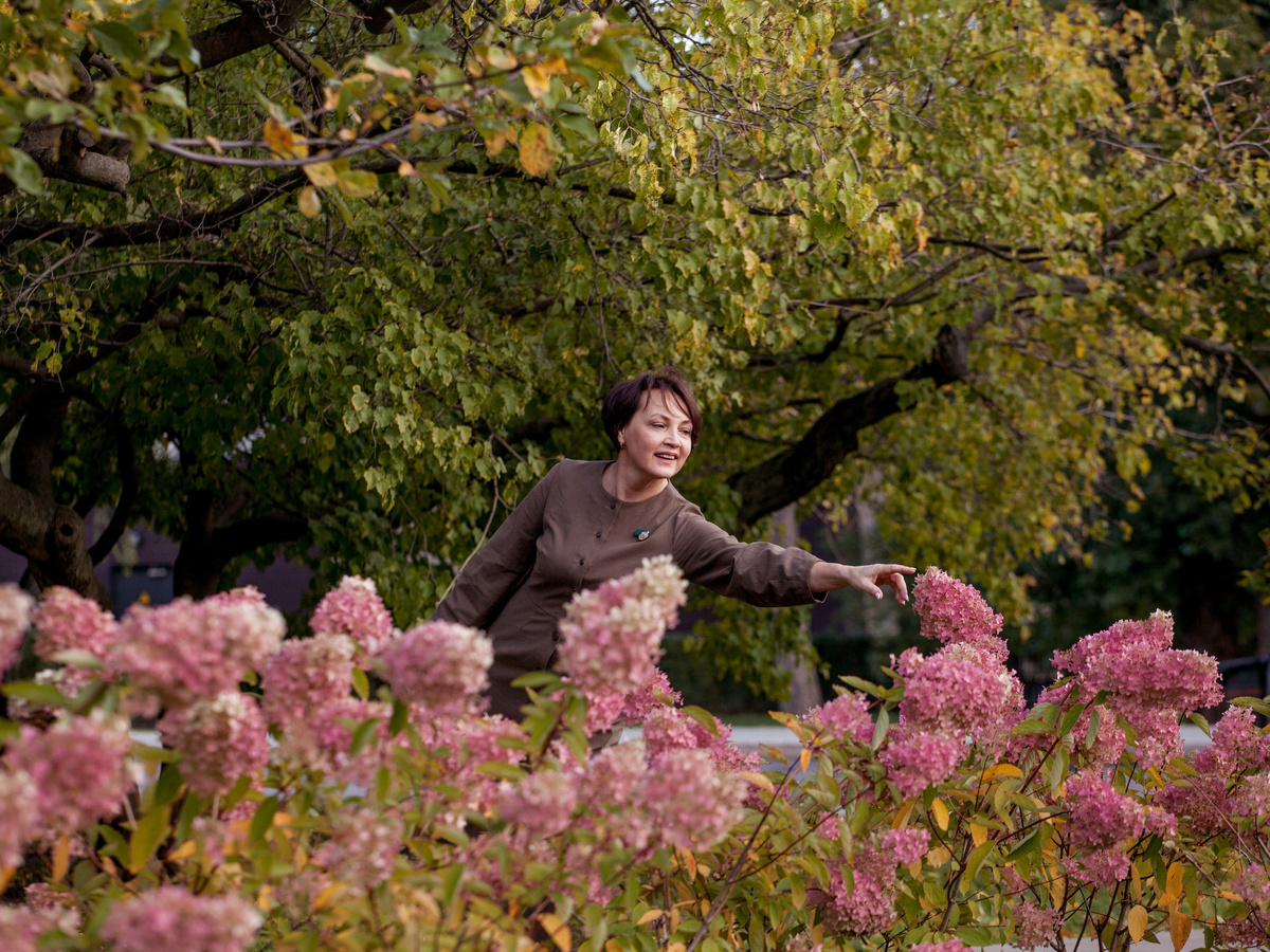 Листайте галерею по стрелке вправо 