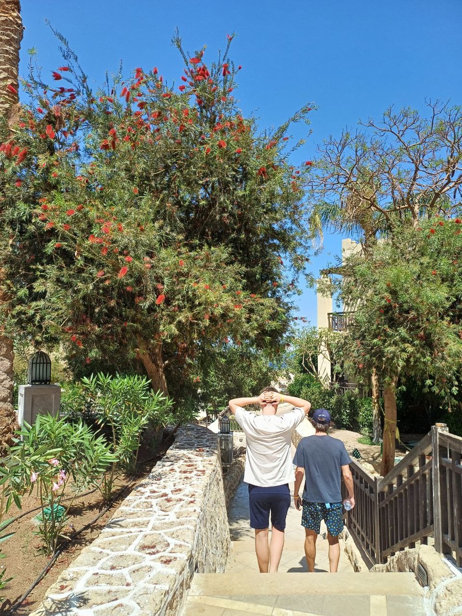 Первые дни нашего второго за 2025 год отпуска