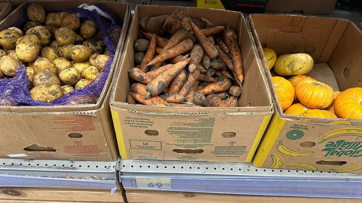     Источник: rostovgazeta.ru