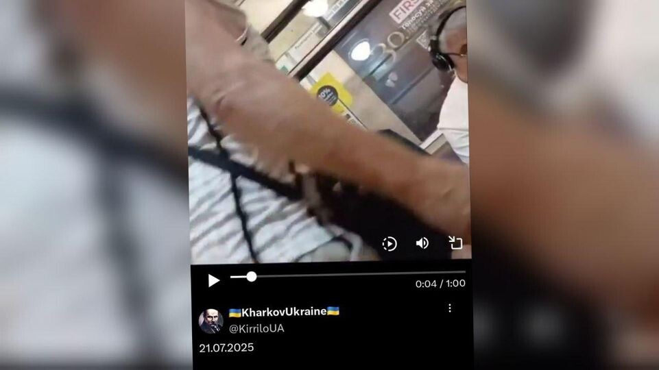     Публичное достояние