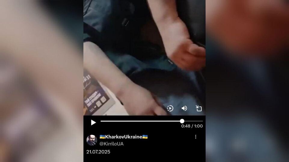     Публичное достояние