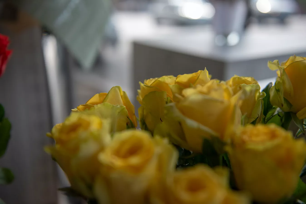 © Sputnik / Andranik Ghazaryan