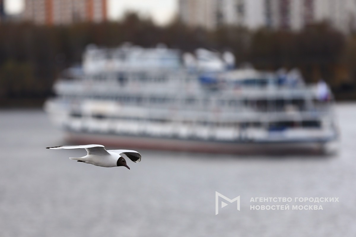 Фотограф: Сергей Ведяшкин